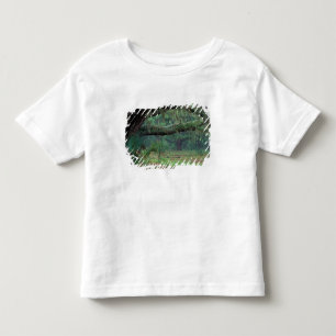 Camiseta Infantil América do Norte, EUA, Geórgia, Cumberland