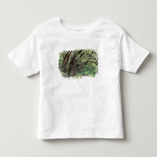 Camiseta Infantil América do Norte, EUA, Geórgia, Cumberland 2