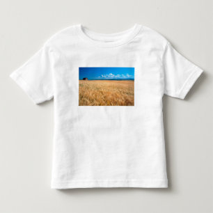 Camiseta Infantil América do Norte, EUA, Idaho. Campo de cevada em