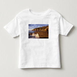 Camiseta Infantil América do Norte, EUA, ME, A costa rochosa do Main