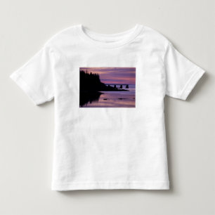 Camiseta Infantil América do Norte, EUA, ME, Isle Au Haut. Pato