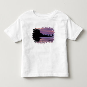 Camiseta Infantil América do Norte, EUA, ME, Isle Au Haut. Pato