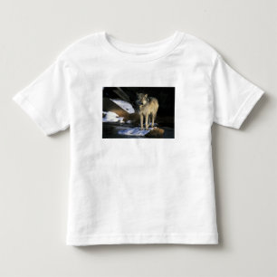 Camiseta Infantil América do Norte, EUA, Minnesota. Lobo (Canis