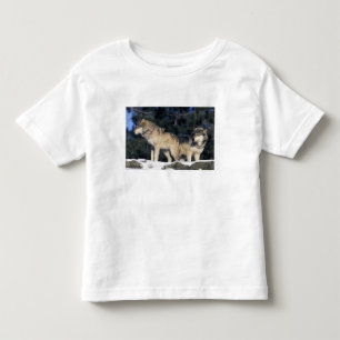 Camiseta Infantil América do Norte, EUA, Minnesota. Wolf Canis 2