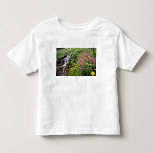 Camiseta Infantil América do Norte, EUA, Montana, Parque Nacional Gl
