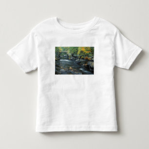 Camiseta Infantil América do Norte, EUA, NH, A ponte em Packers
