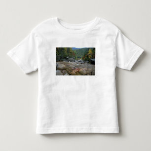Camiseta Infantil América do Norte, EUA, NH, Folhagem de outono em N