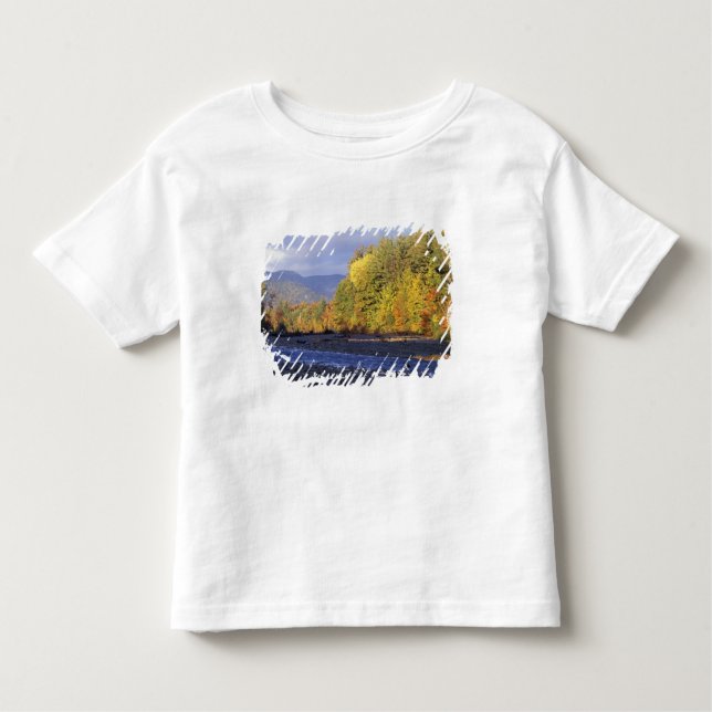 Camiseta Infantil América do Norte, EUA, NH, Rio Saco. Cobre (Frente)