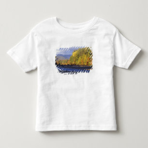 Camiseta Infantil América do Norte, EUA, NH, Rio Saco. Seixo