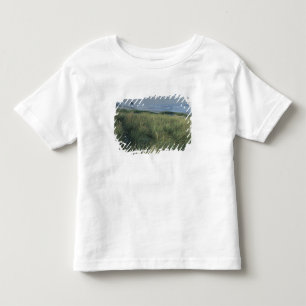 Camiseta Infantil América do Norte, EUA, Oregon, Praia de Canon,