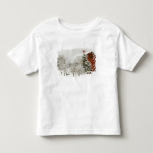 Camiseta Infantil America do Norte, EUA, WA, ilha de Whidbey