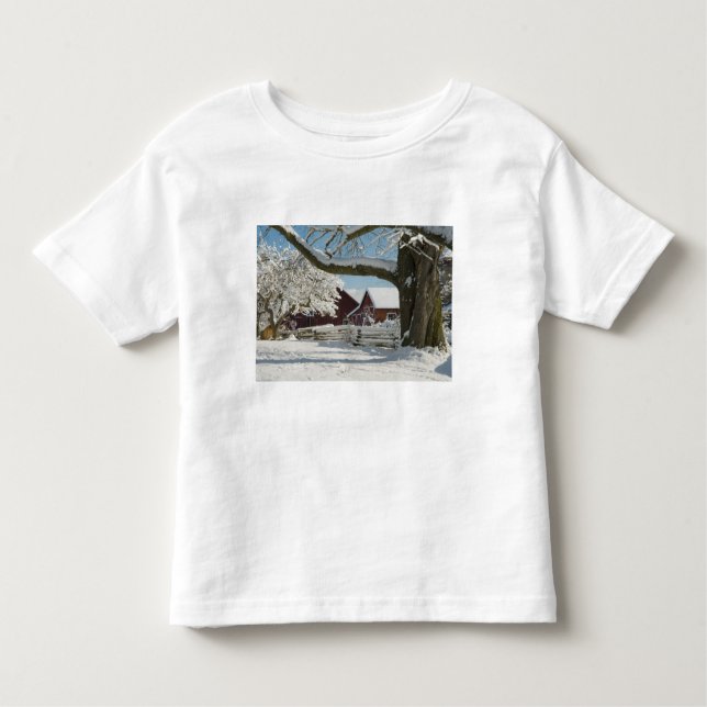 Camiseta Infantil América do Norte, EUA, WA, Ilha de Whidbey. 2 (Frente)