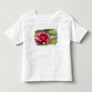 Camiseta Infantil América do Norte, EUA, WA, Seattle, Woodland Park