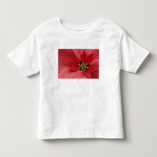 Camiseta Infantil América do Norte, EUA, WA, Woodinville, Vermelho 2