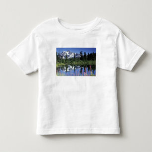 Camiseta Infantil América do Norte, EUA, Washington, Heather Meadows