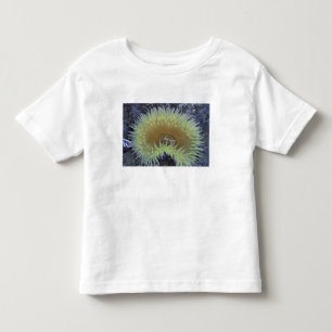 Camiseta Infantil América do Norte, EUA, Washington, Olímpico 4