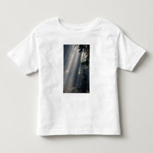 Camiseta Infantil América do Norte, EUA, Washington, Olympic NP,