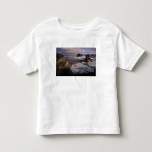 Camiseta Infantil América do Norte, EUA, Washington, Olympic NP,