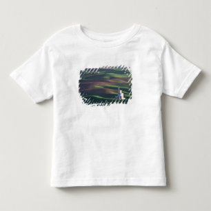 Camiseta Infantil América do Norte, EUA, Washington, Palouse. O