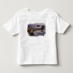 Camiseta Infantil América do Norte, EUA, Washington, Parque Nacional
