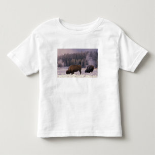 Camiseta Infantil América do Norte, EUA, Wyoming, Yellowstone NP,