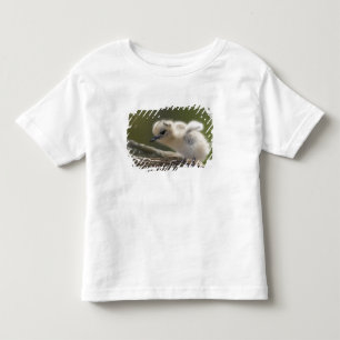 Camiseta Infantil América do Norte, Ilhas Havaianas do Noroeste, 2