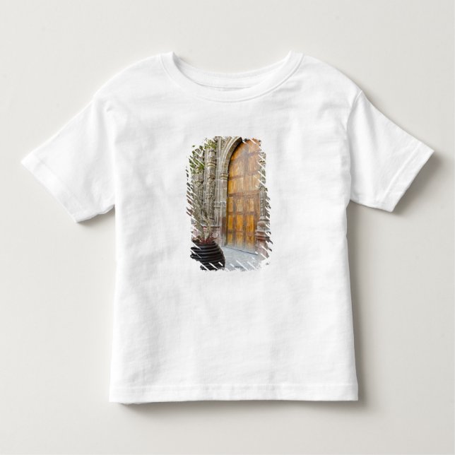 Camiseta Infantil América do Norte, México, estado de Guanajuato, Sa (Frente)