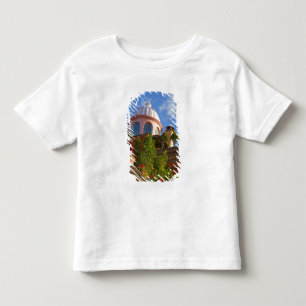 Camiseta Infantil América do Norte, México, estado de Guanajuato, Sa
