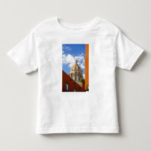 Camiseta Infantil América do Norte, México, estado de Guanajuato, Sa