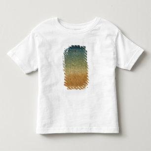 Camiseta Infantil América do Norte, México, Estado de Guerrero, Ixta