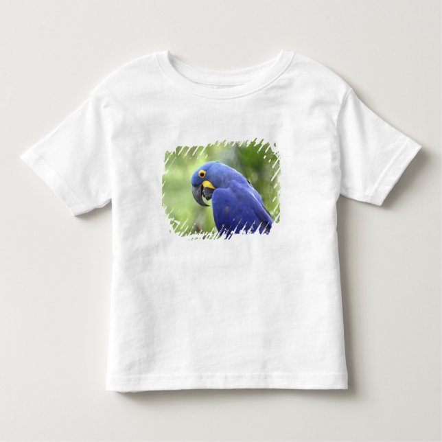Camiseta Infantil América do Sul, Brasil, Pantanal (Frente)