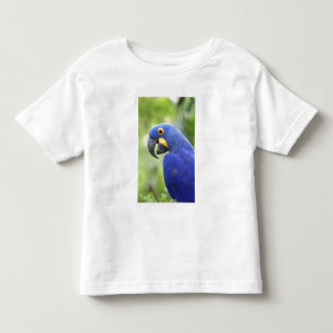 Camiseta Infantil América do Sul, Brasil, Pantanal