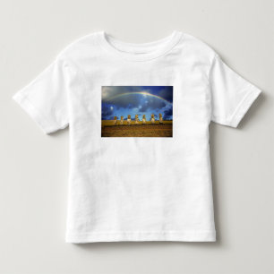 Camiseta Infantil América do Sul, Chile, Ilha Páscoa. O cheio