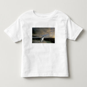 Camiseta Infantil América do Sul, Chile, Patagônia, Magalhães,