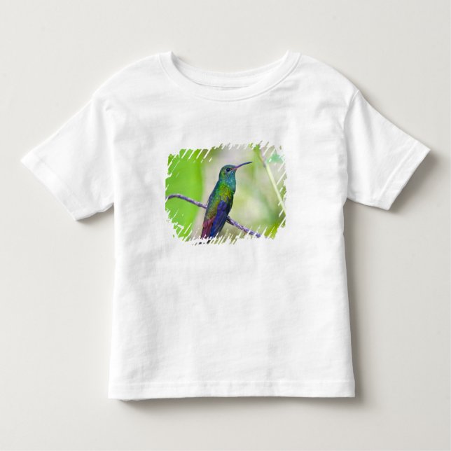 Camiseta Infantil América do Sul, Costa Rica, Sarapiqui, La Selva (Frente)