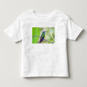 Camiseta Infantil América do Sul, Costa Rica, Sarapiqui, La Selva