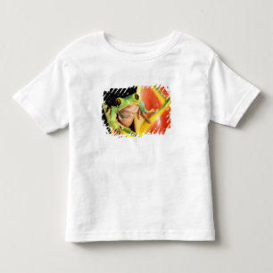 Camiseta Infantil América do Sul, Equador, Amazônia. Rã de árvore