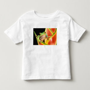 Camiseta Infantil América do Sul, Equador, Amazônia. Rã de árvore