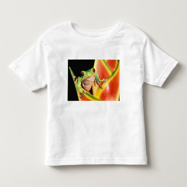 Camiseta Infantil América do Sul, Equador, Amazônia. Sapo (Frente)