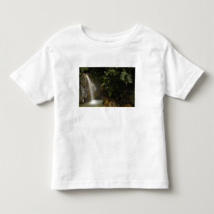Camiseta Infantil América do Sul, Equador, declive oriental da