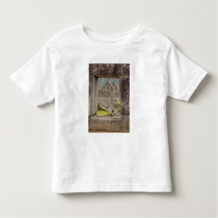 Camiseta Infantil América do Sul, Peru, Machu Picchu. Dois turistas