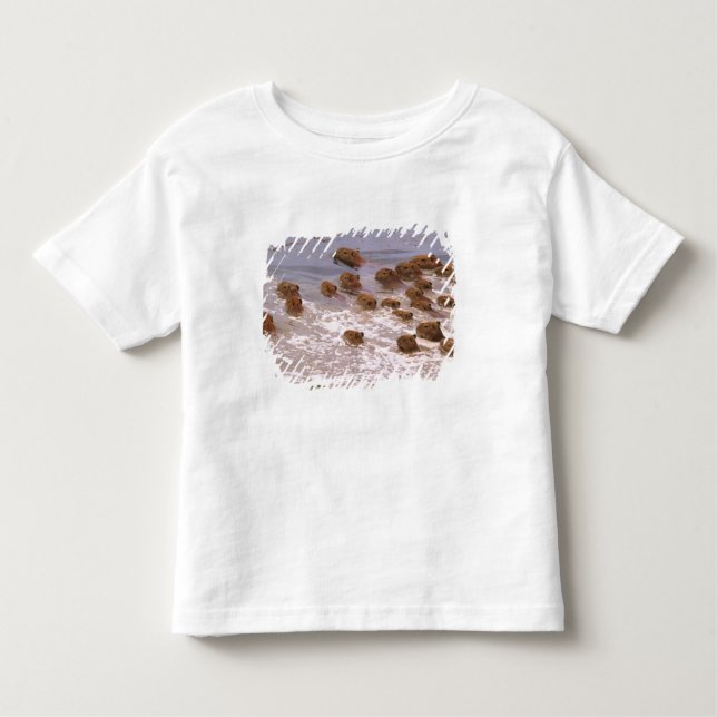 Camiseta Infantil América do Sul, Venezuela, região Lano. (Frente)