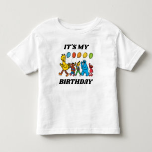 Camiseta Infantil Amigos da Rua Sésamo É Meu Aniversário