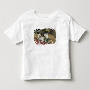 Camiseta Infantil Amigos estáveis