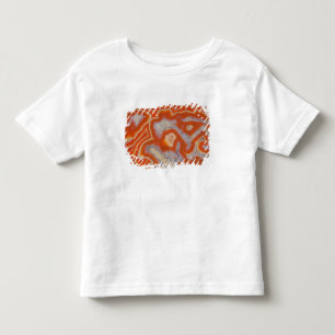 Camiseta Infantil Amostra da ágata