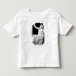 Camiseta Infantil Anacreon, 1851