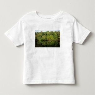 Camiseta Infantil Anavilhanas, Amazonas, Brasil. Rio da floresta tro