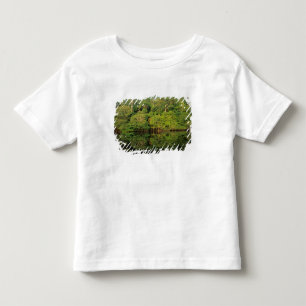 Camiseta Infantil Anavilhanas, Amazonas, Brasil. Rio da floresta tro