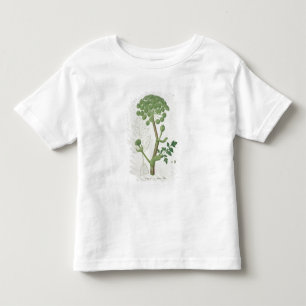 Camiseta Infantil Angélica Archangelica 'de Phytographie Medicale