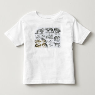 Camiseta Infantil Animais carnívoros